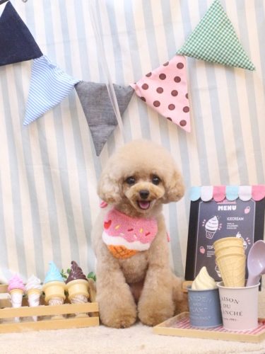 20250523ラブちゃん